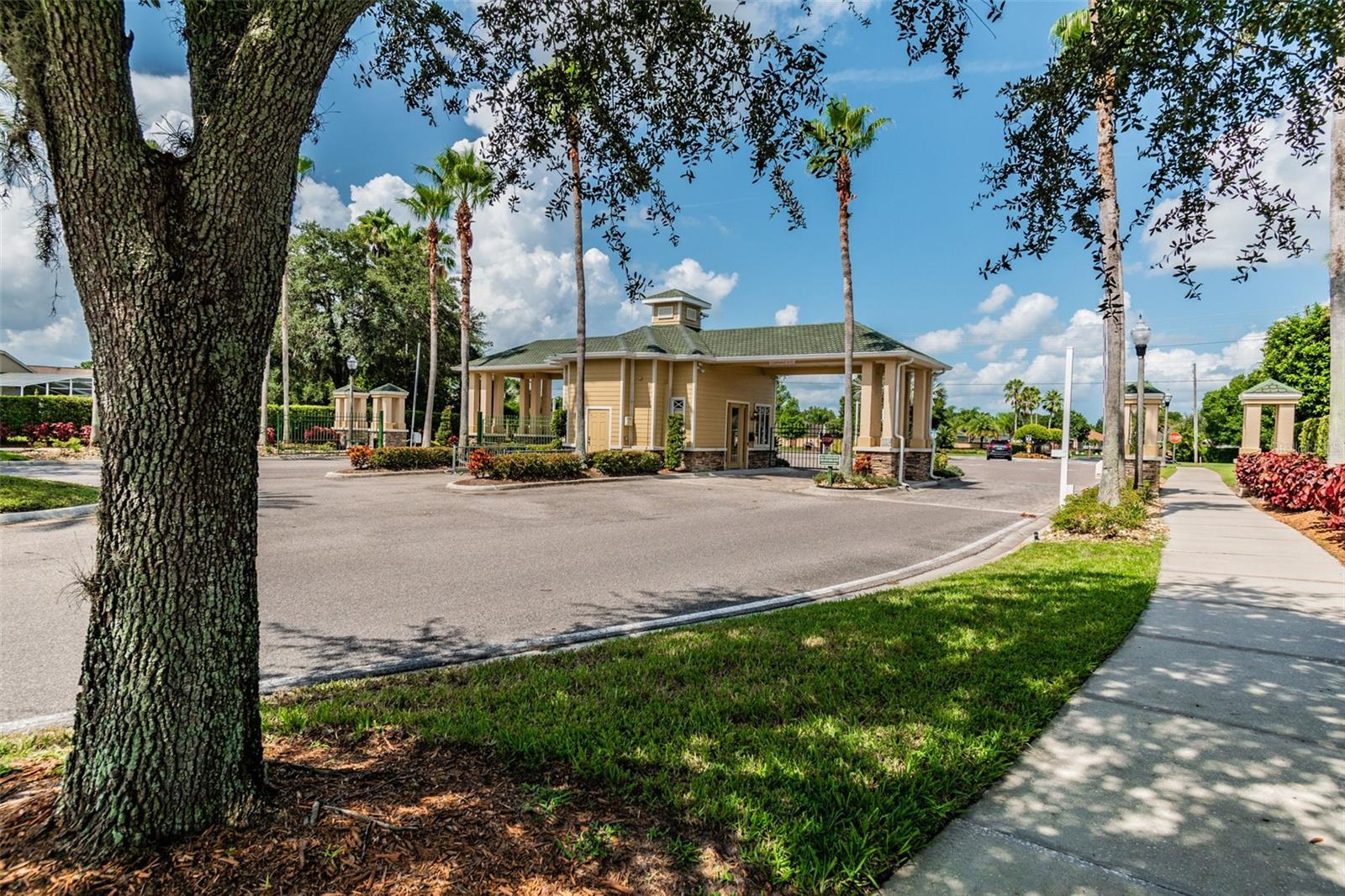 PLANTATION PALMS - Residential
