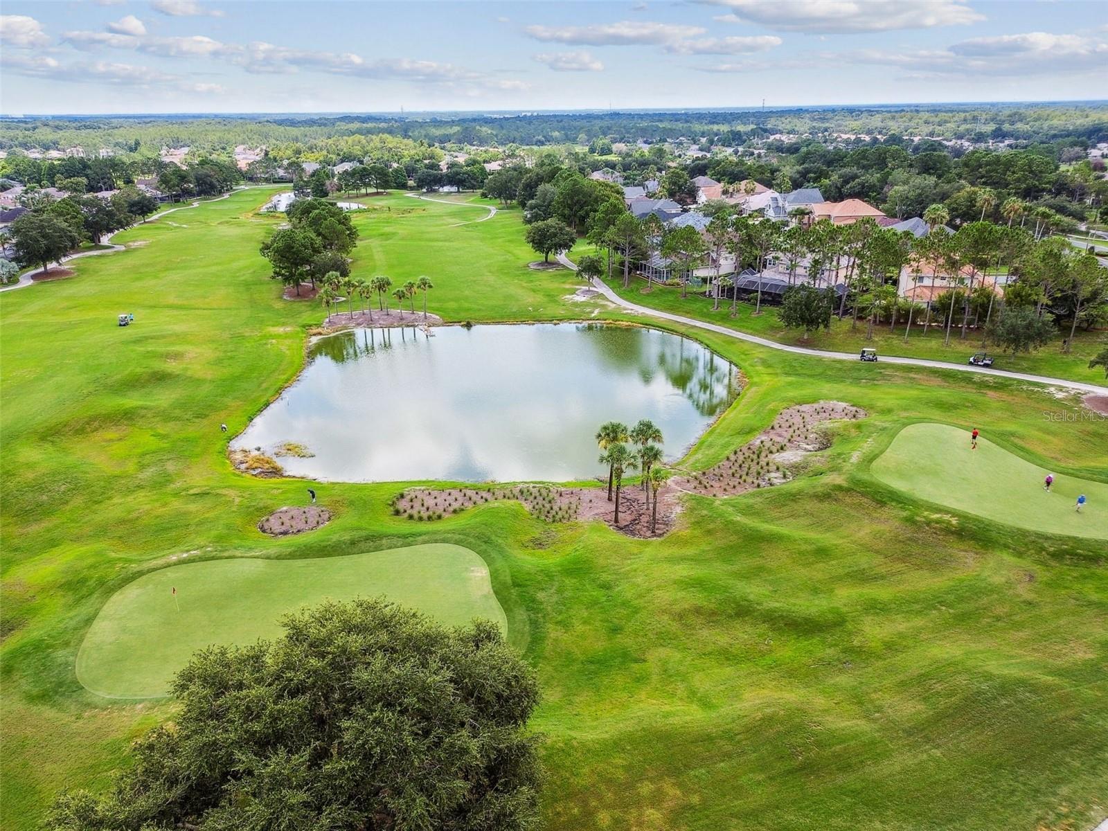 PLANTATION PALMS - Residential