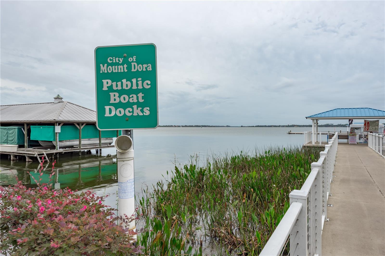 MOUNT DORA OAKWOOD - Residential