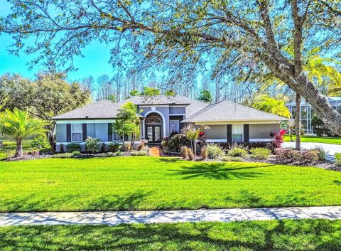 Photo of 7546 Dunbridge Drive, Odessa, FL 33556 (MLS # TB8358156)