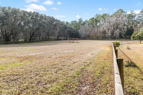 Tiny photo for 22157 NW 87th Avenue Road, Micanopy, FL 32667 (MLS # OM718344)
