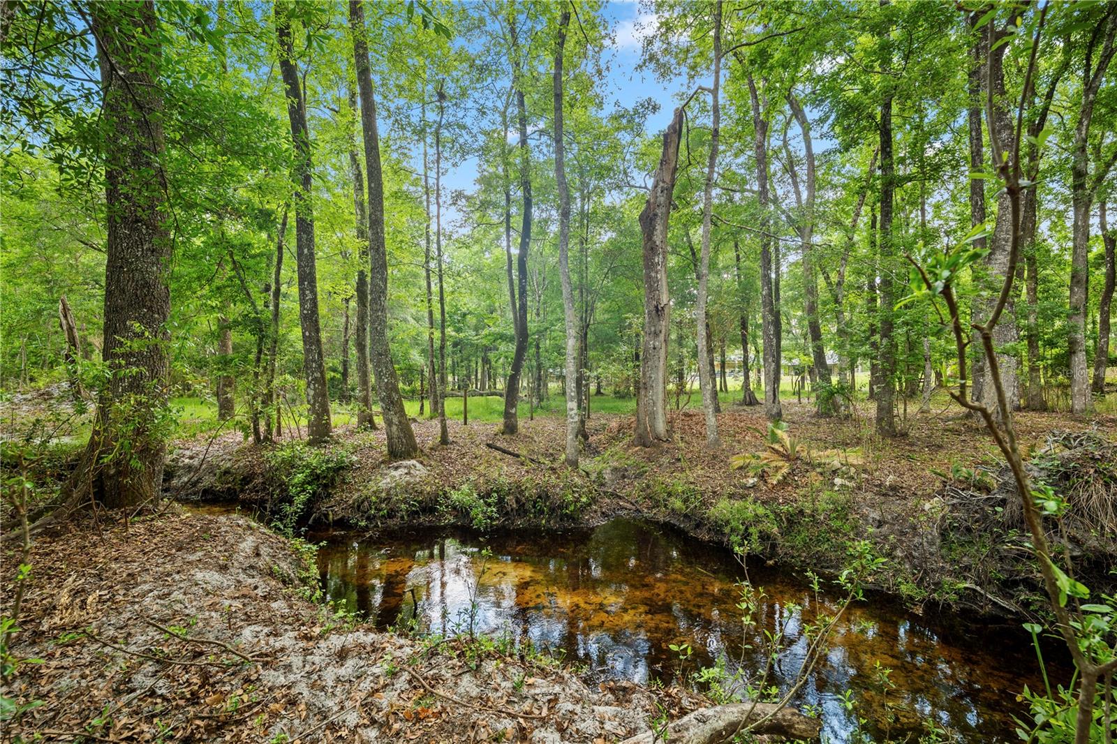 GREEN COVE SPRINGS - Residential