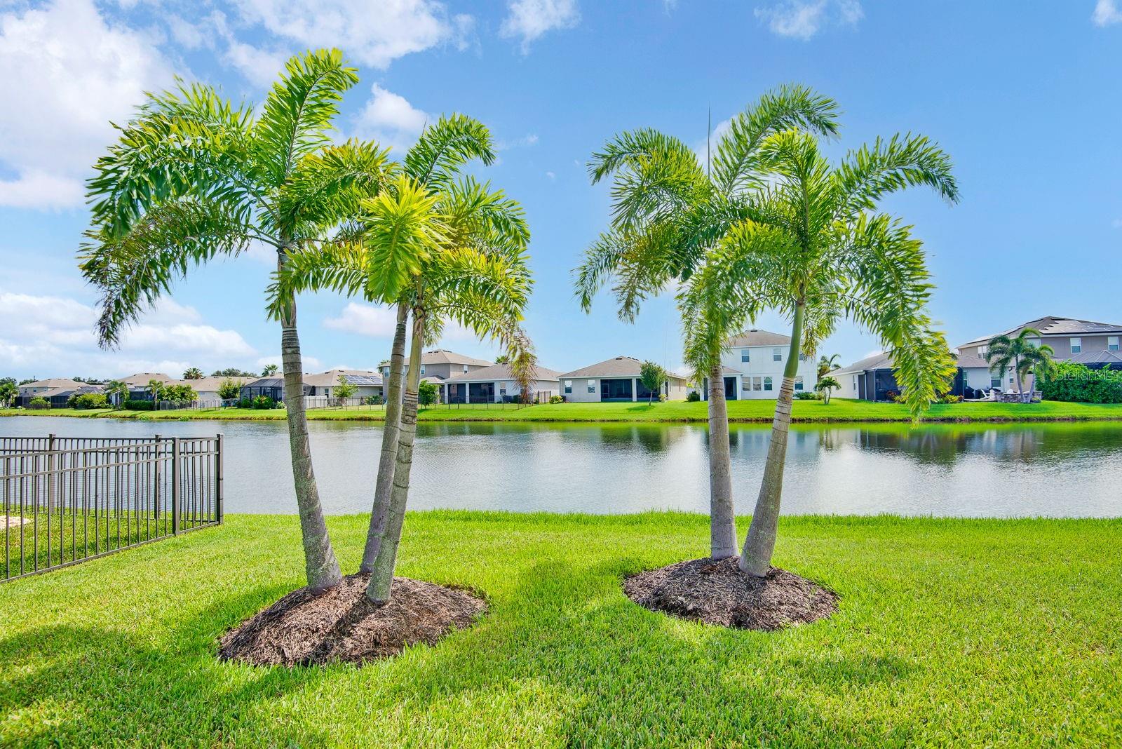 6435 DEVESTA LOOP, PALMETTO, FL, 34221 4 6435 DEVESTA LOOP