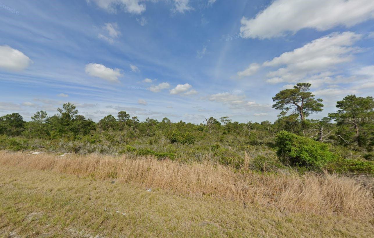 Great residential lot in the Sun ‘n Lakes of Lake Placid community! This 0.26-acre parcel offers paved road frontage in a quiet neighborhood surrounded by natural beauty and freshwater lakes. Perfect for building your Florida dream home or holding as a long-term investment. Conveniently located just minutes from downtown Lake Placid, shopping, dining, schools, and recreational activities. No HOA and low annual taxes. Buyer to verify utilities, zoning, and building requirements with Highlands County.