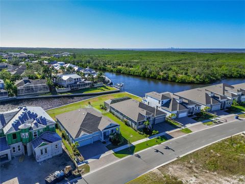 A home in APOLLO BEACH