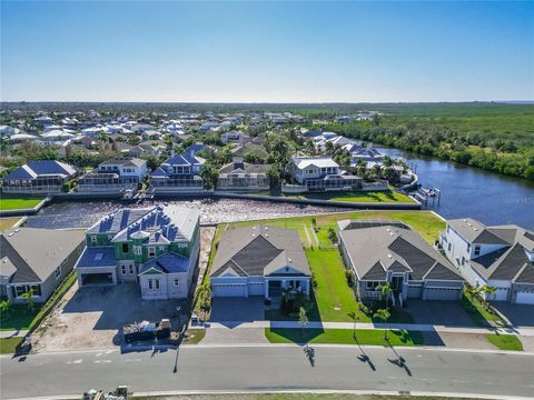 A home in APOLLO BEACH