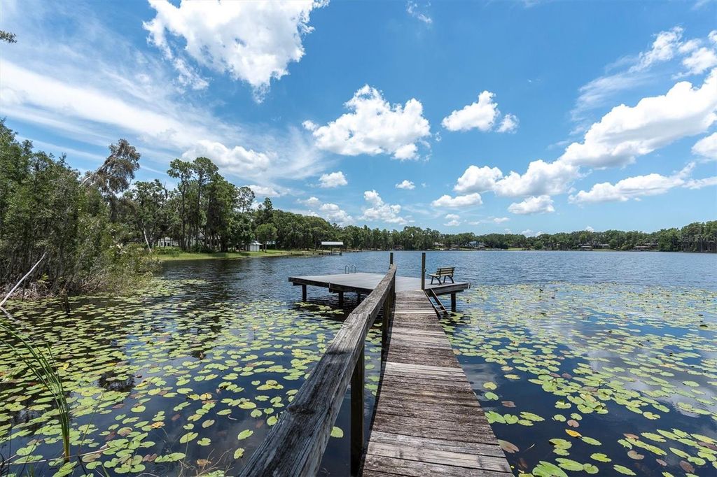 Photo of 11008 Nest Court, Odessa, FL 33556 (MLS # TB8401179)