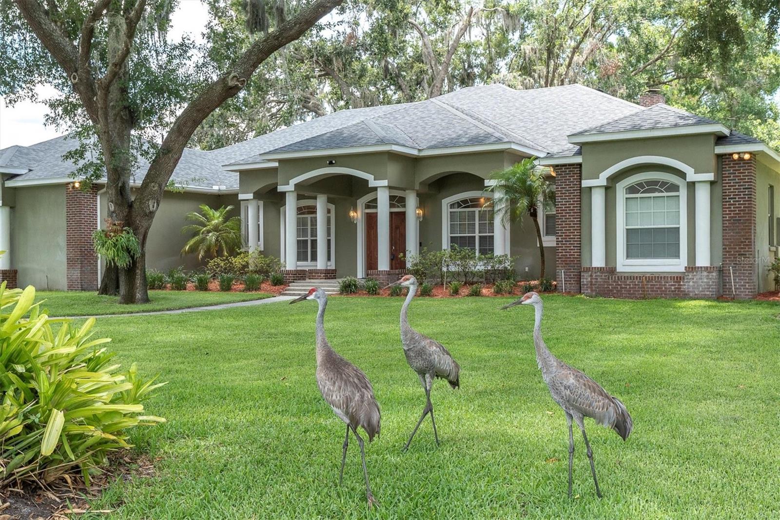 11008 NEST COURT