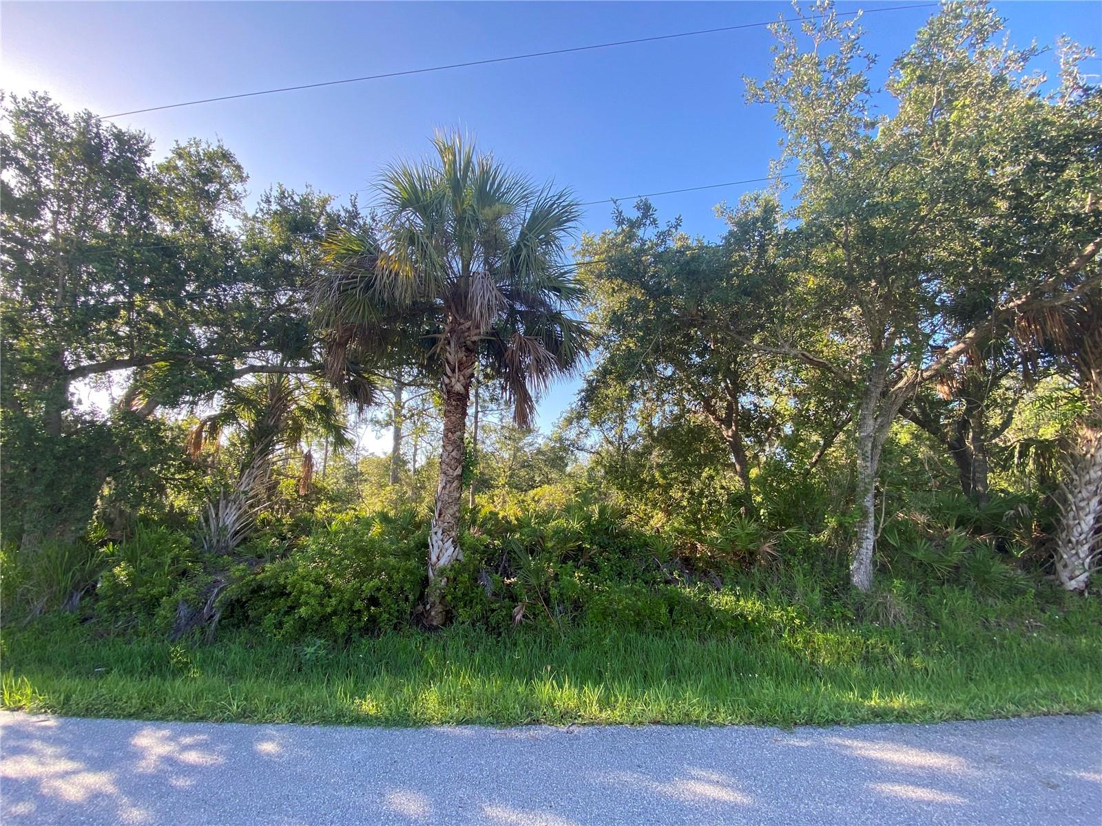 WARM MINERAL SPRINGS AREA!!! Additional lot available. JUST 10 MINUTES WALK FROM THE WARM MINERAL SPRINGS!!! Within 7 minutes drive you can be at WELLEN PARK, the new Atlanta Braves Training Stadium, Cool Today Park, and the highly anticipated new Costco store!!! Perfect location to build your new home in the fast growing city. Close to shopping, restaurants, and River. Within 20 minutes drive , you can be at Manasota Beach on the Gulf of Mexico, Aquatic Center, and much more. No Deed restrictions, No HOA/ CDD!!! Don't miss out on the GREAT LOCATION FOR YOUR DREAM HOME OR NEXT INVESTMENT!!!