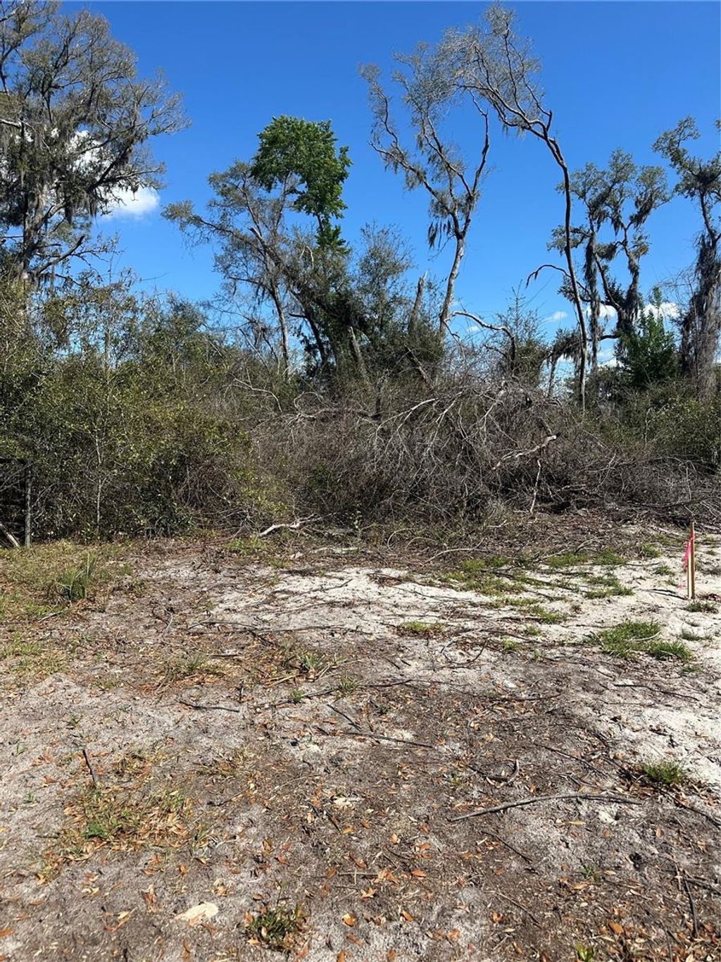 Photo of NE 688th Avenue, Cross City, FL 32628 (MLS # OM720579)