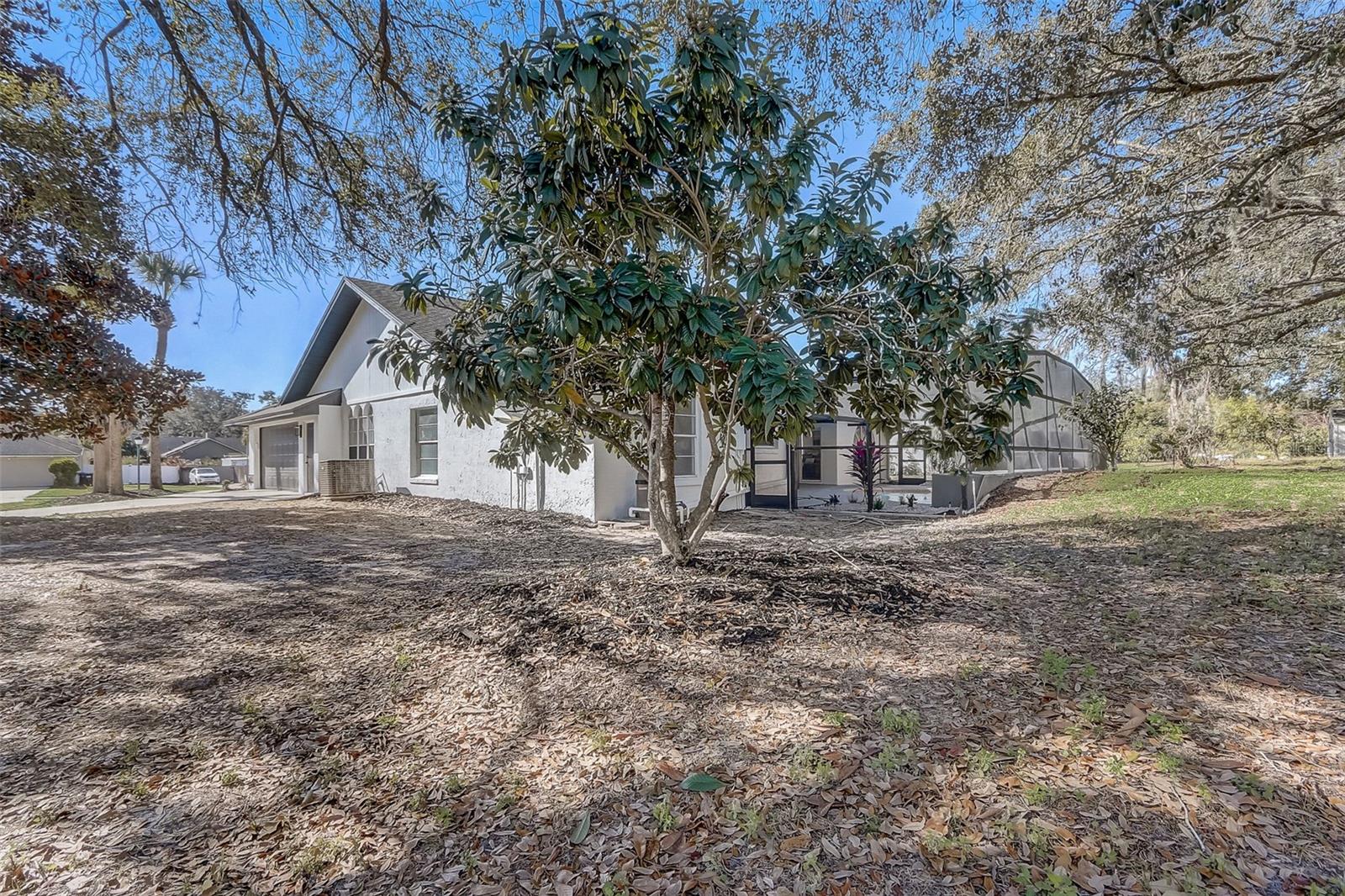 BUCKINGHAM AT LAKEVILLE OAKS PH 01 - Residential