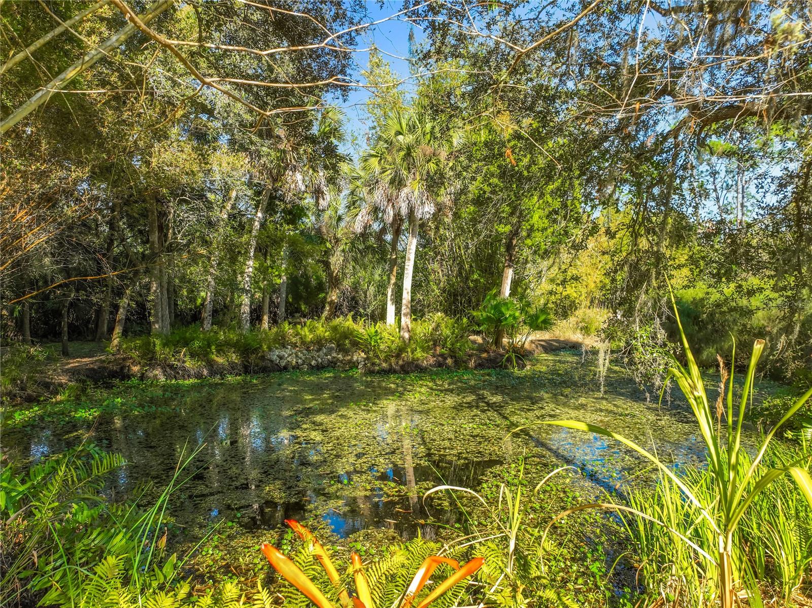 MULLET LAKE RETREAT 5 ACRE DEV - Residential