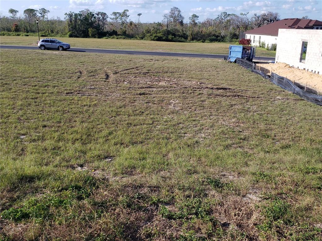 Photo of 412 Adams View Lane, Auburndale, FL 33823 (MLS # O6392556)