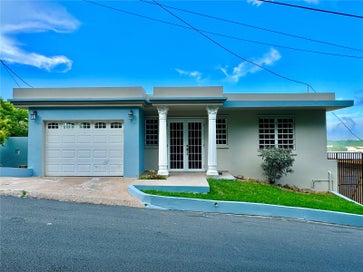 Junquito CLAVEL HUMACAO  00791