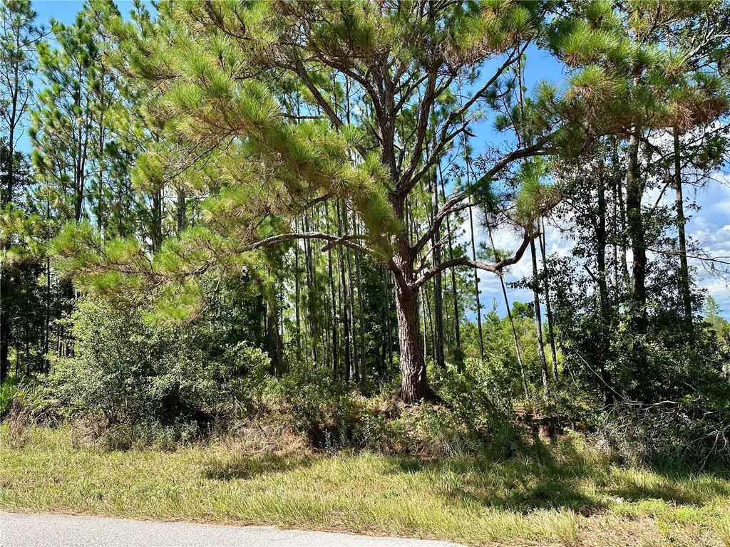 Photo of Oil Well Road, Clermont, FL 34714 (MLS # G5100577)