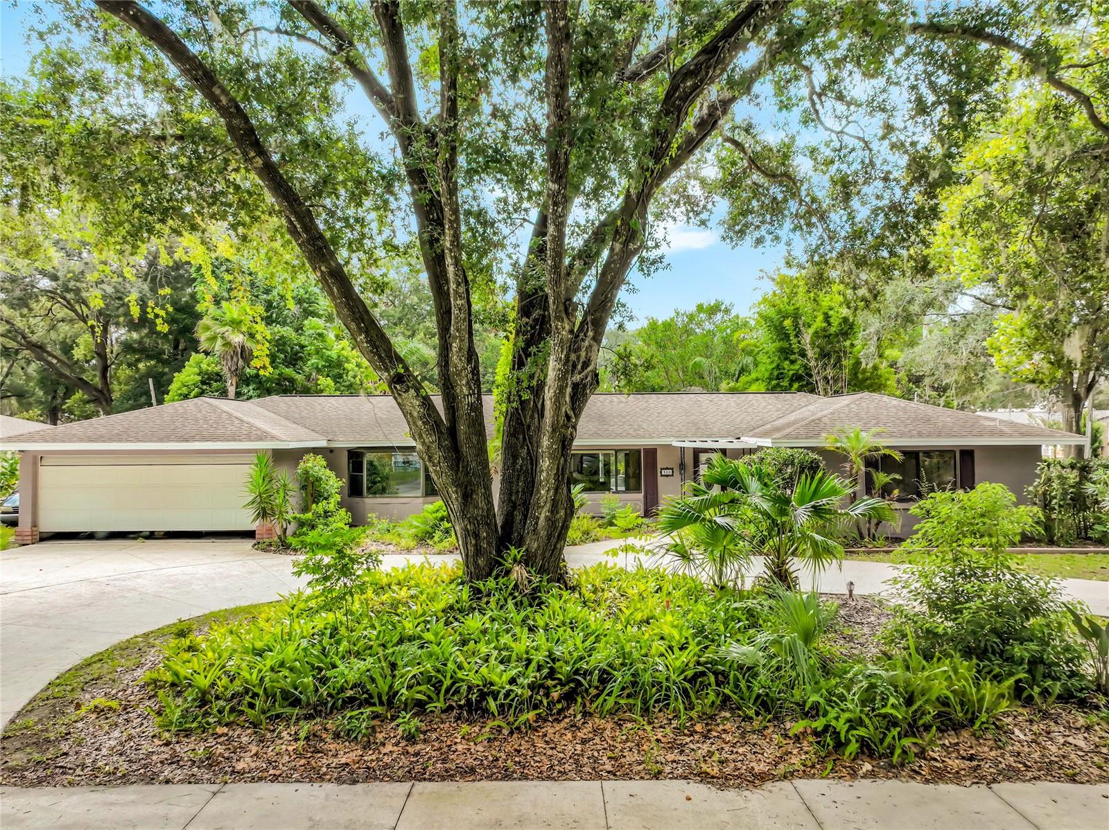 300 PINECREST ROAD