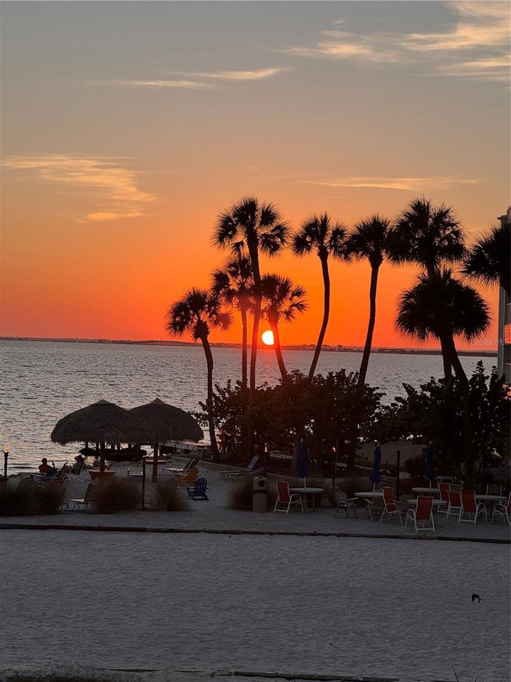 Photo of Tampa, FL 33607 (MLS # TB8503218)