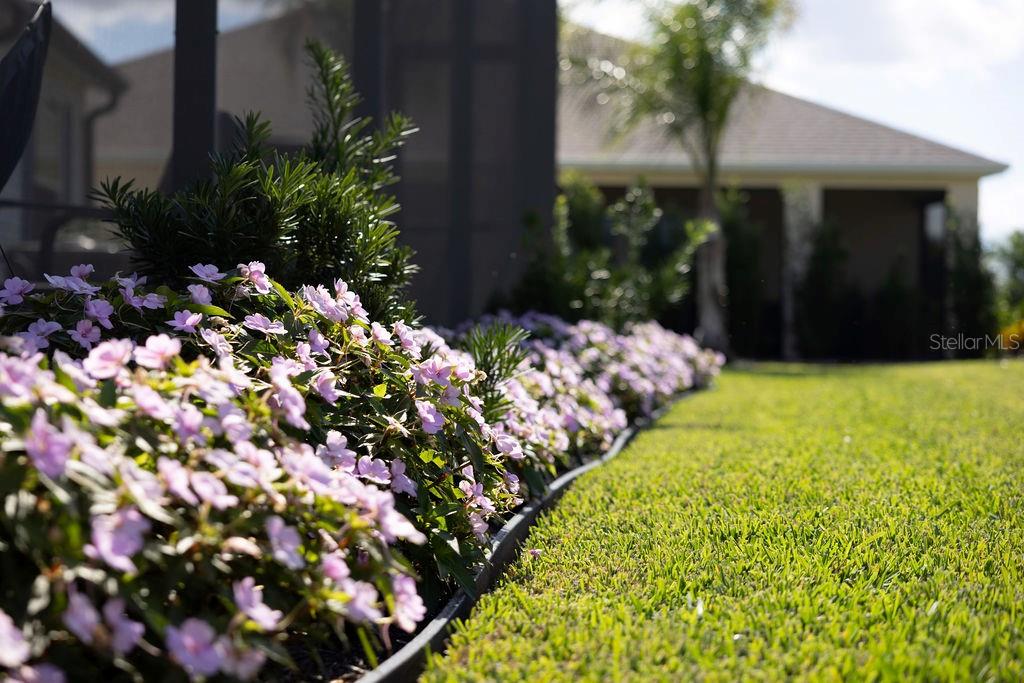 THE VILLAGES - Residential