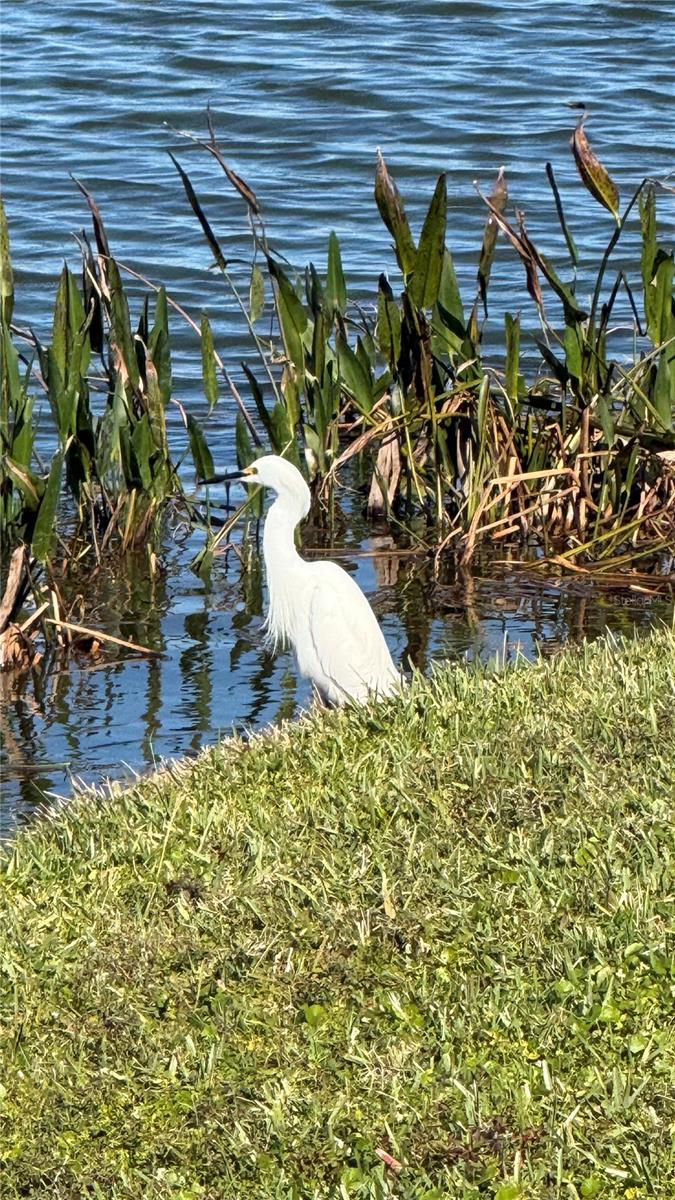 HARBOUR ISLES PH 1 - Residential