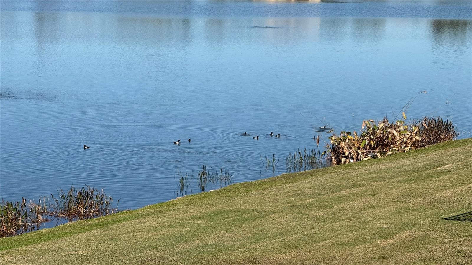 HARBOUR ISLES PH 1 - Residential