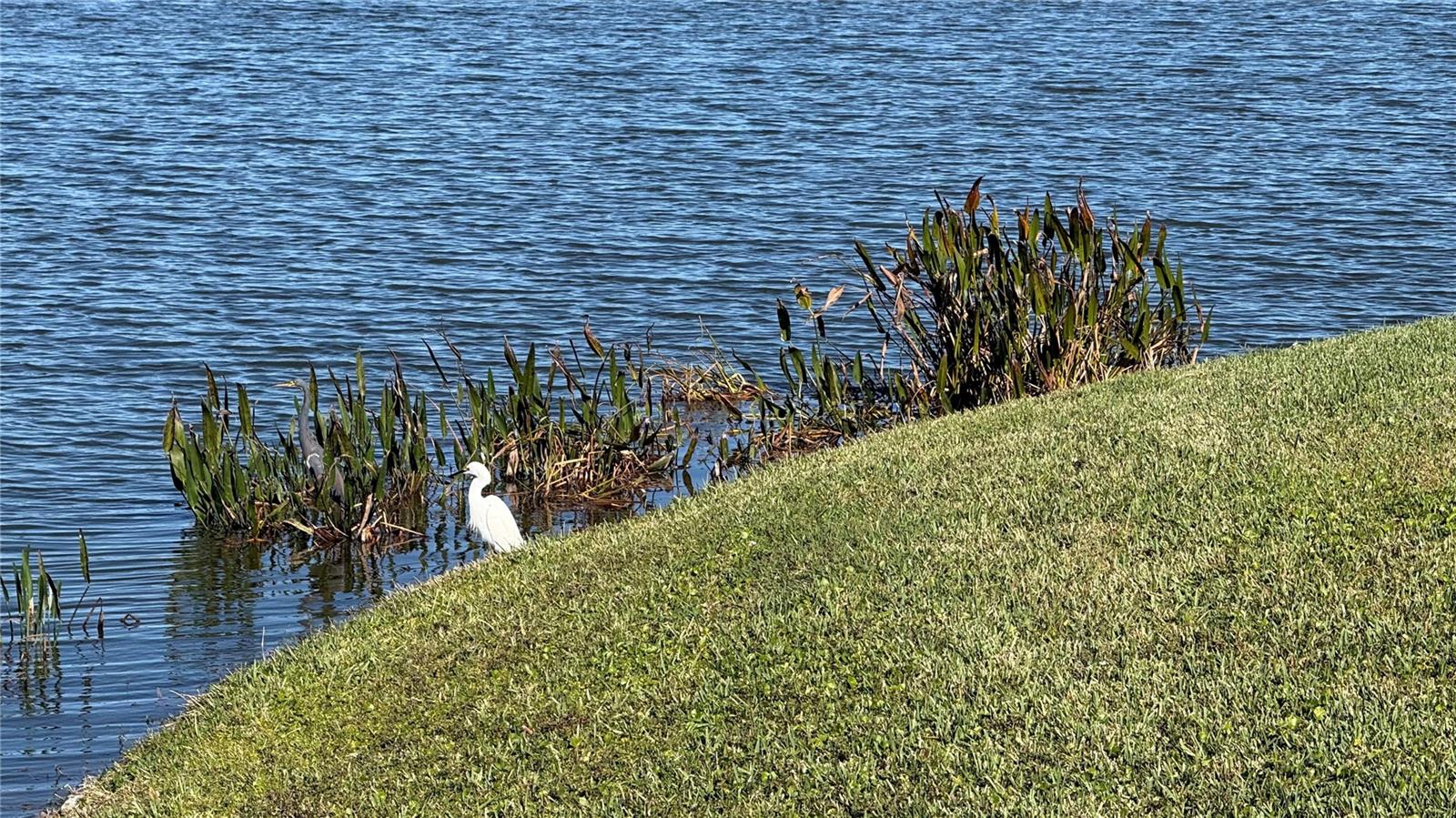 HARBOUR ISLES PH 1 - Residential