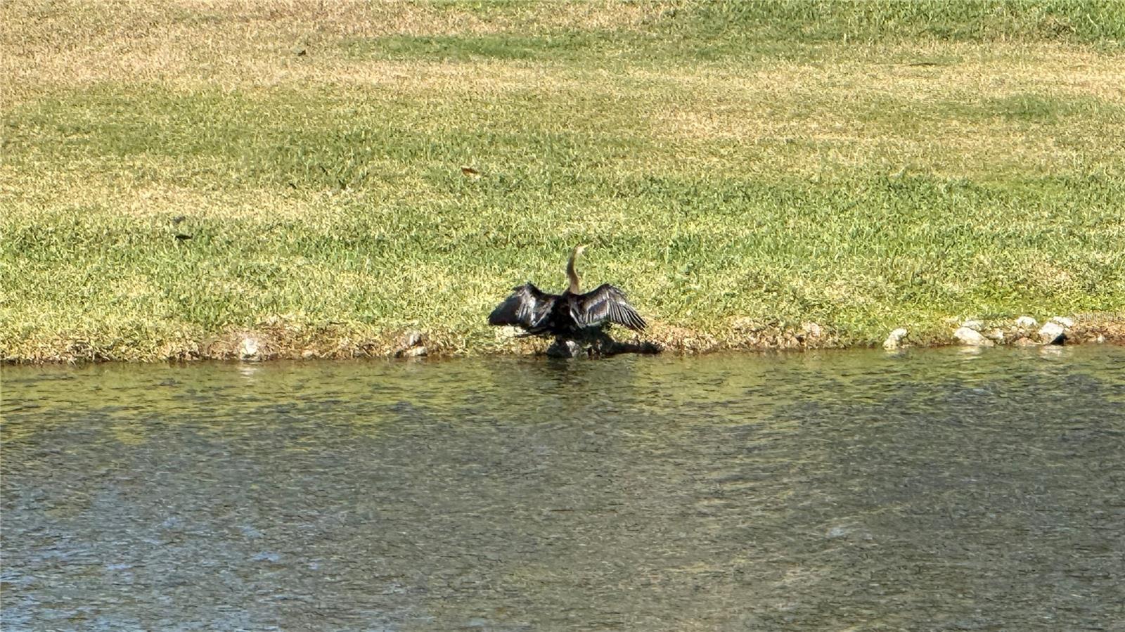 HARBOUR ISLES PH 1 - Residential