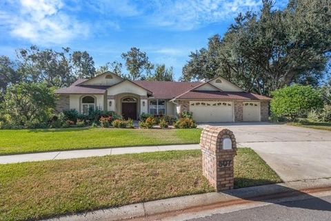 507 SURREY LANE LUTZ FL 33549