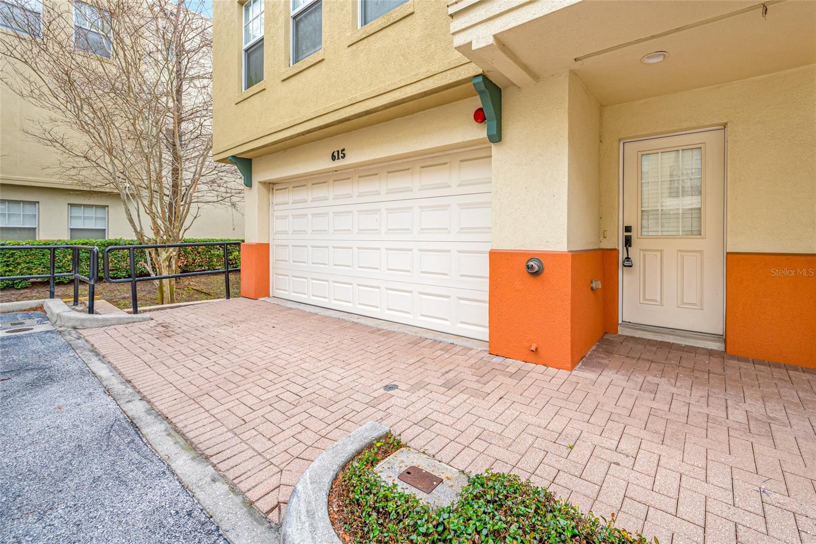 615 OLIVE TREE COURT