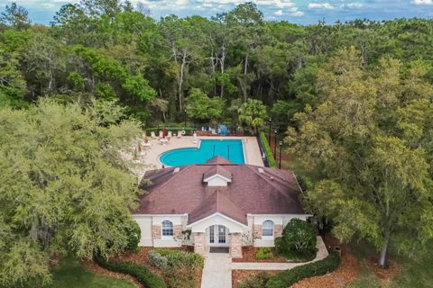 A home in LITHIA