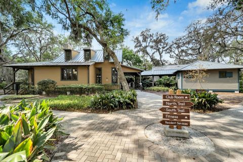 A home in LITHIA