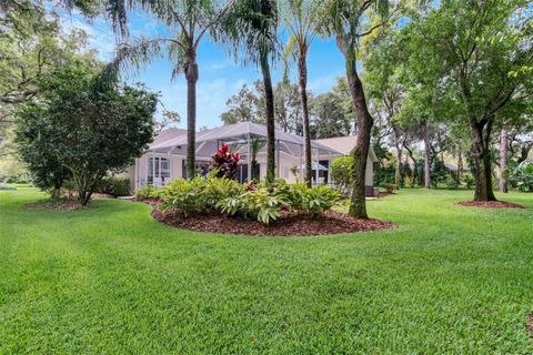 A home in LITHIA