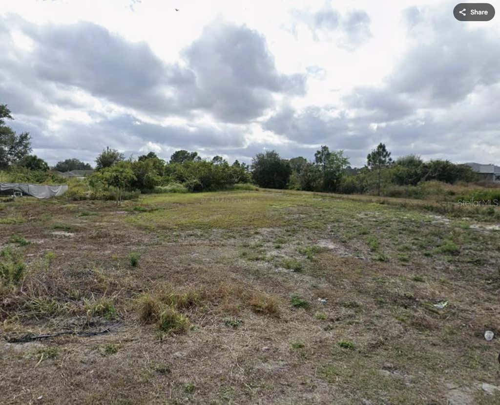 Photo of 2911 2nd Street SW, Lehigh Acres, FL 33976 (MLS # A4703432)