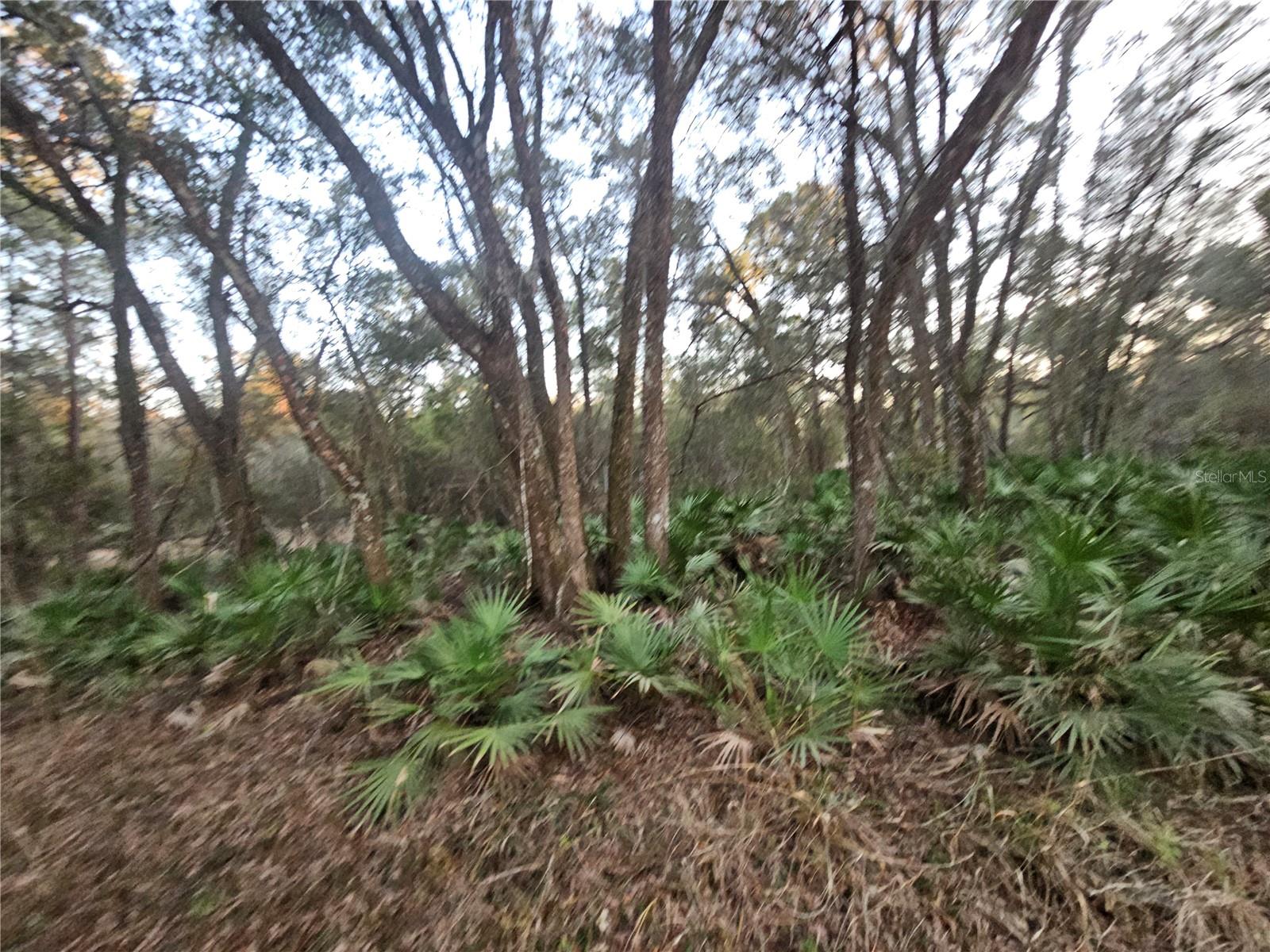 RIDGE MANOR ESTATE - Land