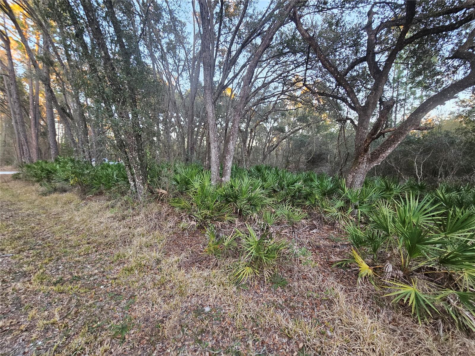 RIDGE MANOR ESTATE - Land