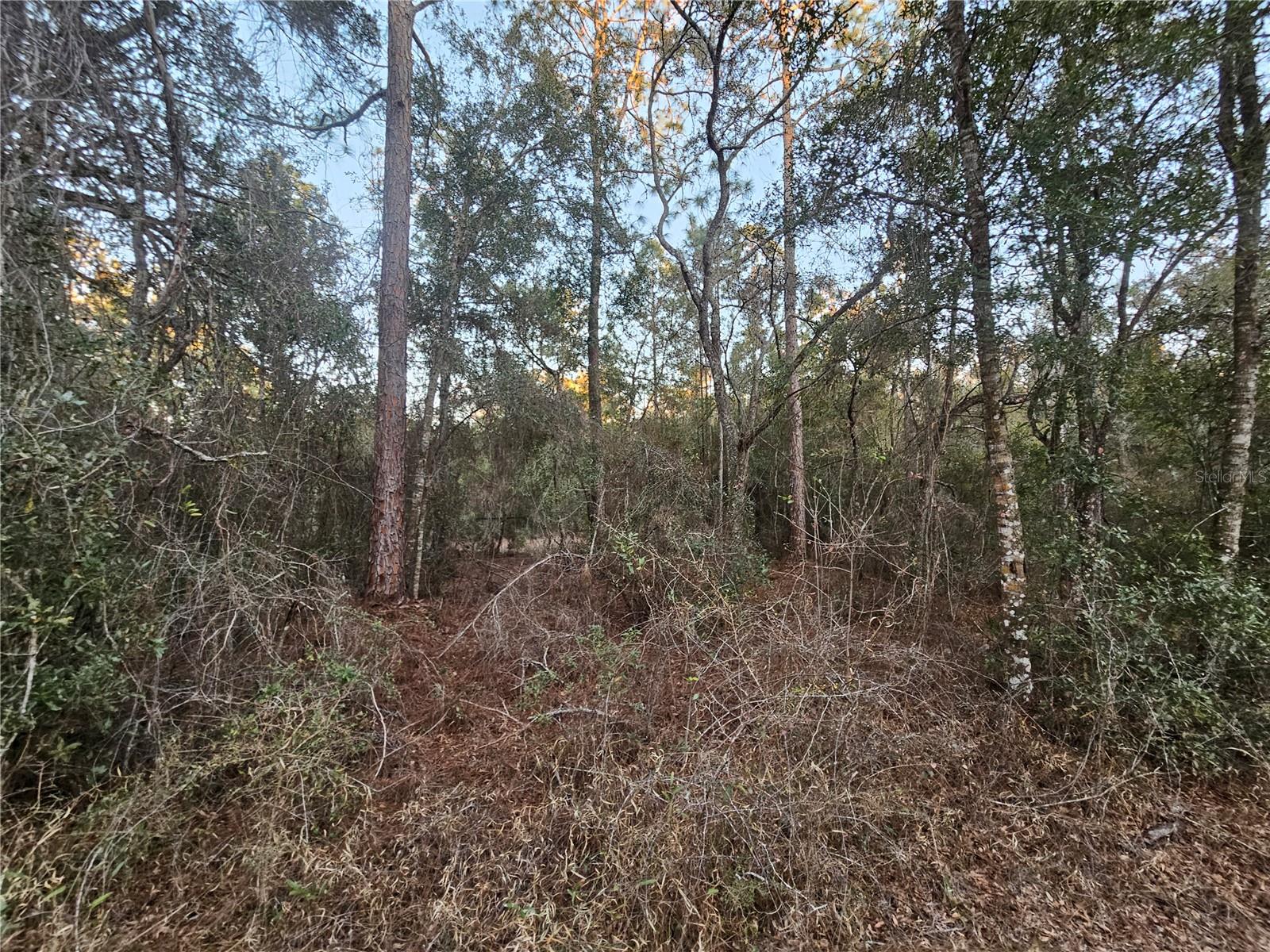 RIDGE MANOR ESTATE - Land