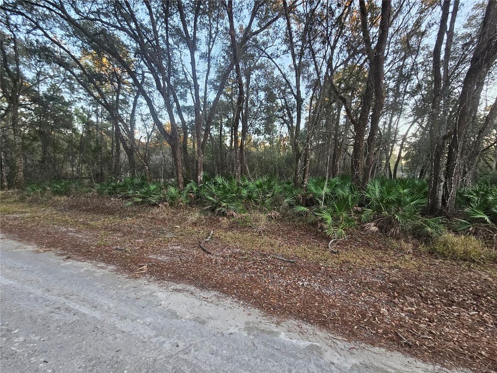 Photo of Rosehill Drive, Webster, FL 33597 (MLS # TB8474429)