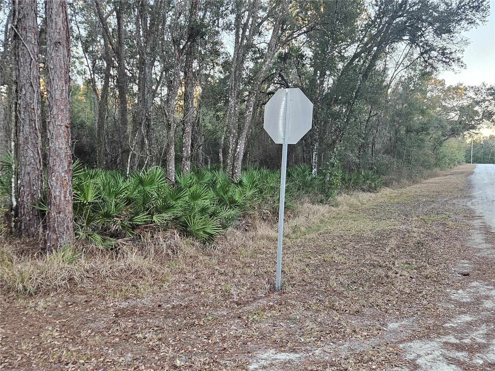 RIDGE MANOR ESTATE - Land