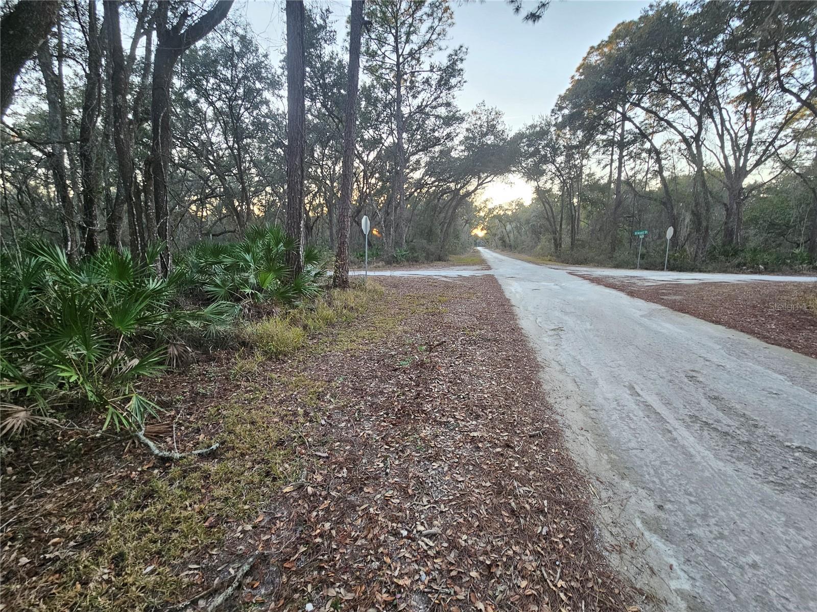 RIDGE MANOR ESTATE - Land