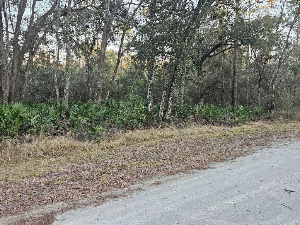 Photo of Rosehill Drive, Webster, FL 33597 (MLS # TB8474429)