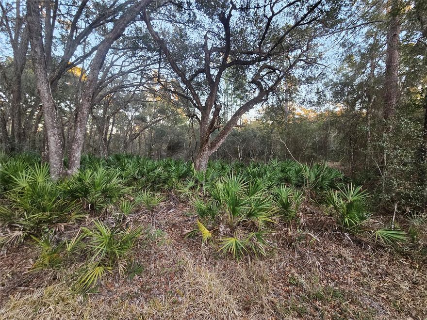 Beautiful .98-acre homesite ready for your dream home! Located on a paved, county-maintained road with little through traffic, it offers both privacy and convenience—just 15 minutes to downtown Bushnell, 18 minutes to Dade City, 35 miles to the Gulf beaches, and an easy commute to Tampa. Over 100,000 acres of nearby state recreation land provide endless opportunities for outdoor activities. Zoned for conventional homes only; no mobile homes permitted. Additional 1.15 acre parcel also available, MLS ID TB8467010