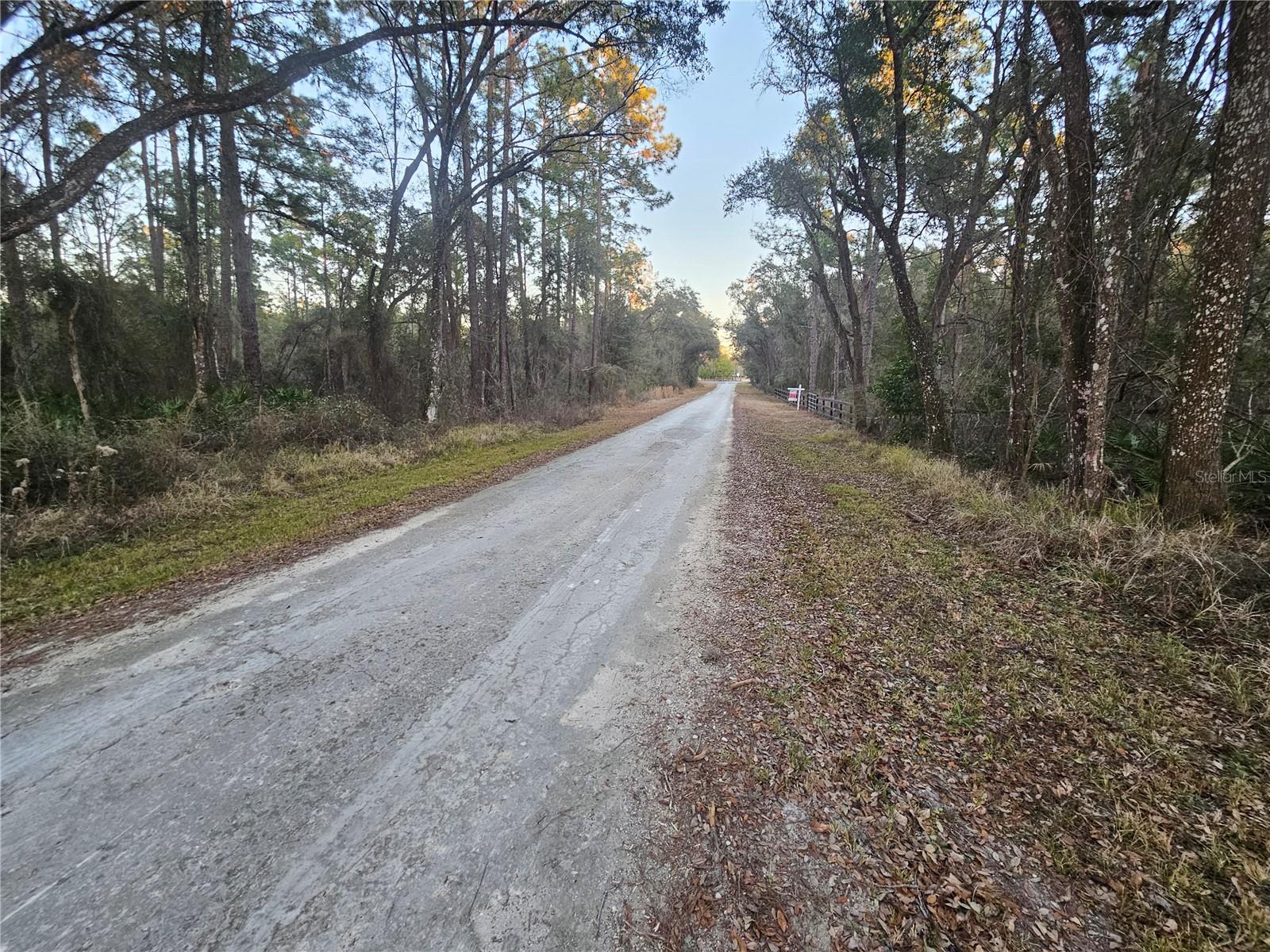 RIDGE MANOR ESTATE - Land