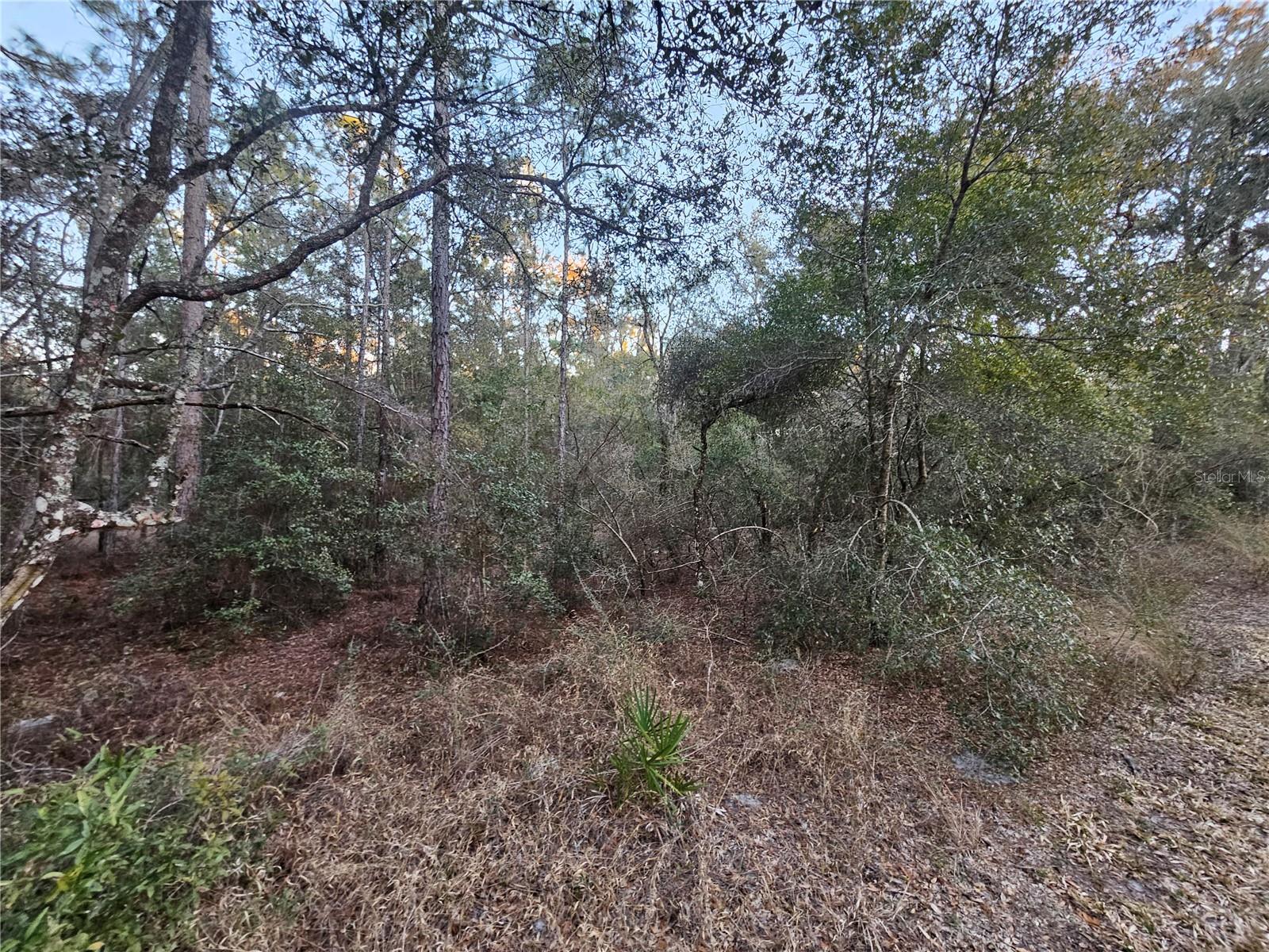 RIDGE MANOR ESTATE - Land