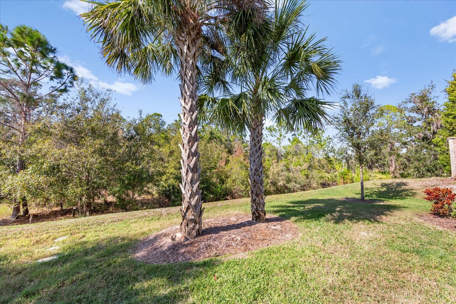 DEL WEBB PH I-B SUBPHASES D & F - Residential