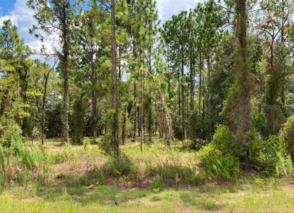 Photo of Tbd SW Neptune Boulevard, Dunnellon, FL 34431 (MLS # O6427526)