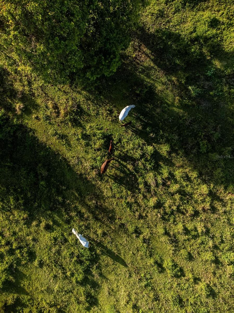 Carr 119 INT. 448 KM 3.7 ROAD