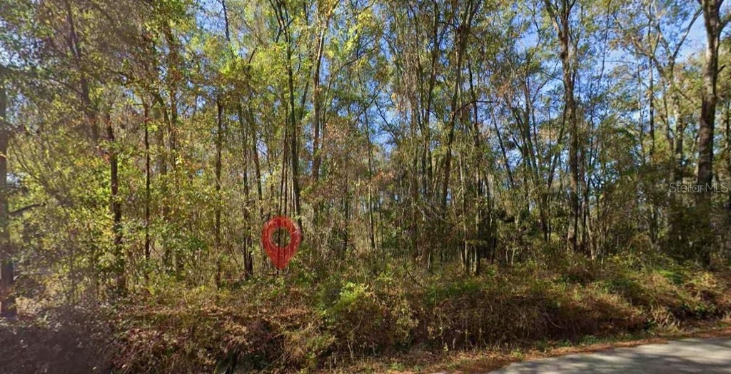 Photo of Iamonia Landing Road, Tallahassee, FL 32312 (MLS # TB8525667)