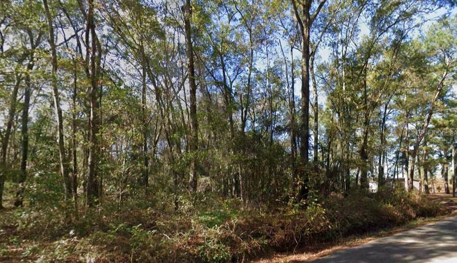 IAMONIA LANDING ROAD