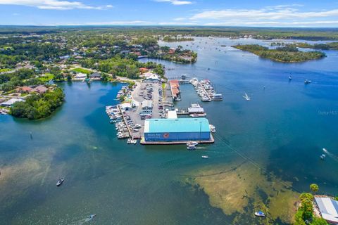 Tiny photo for 2160 N Watersedge Drive, Crystal River, FL 34429 (MLS # TB8444837)