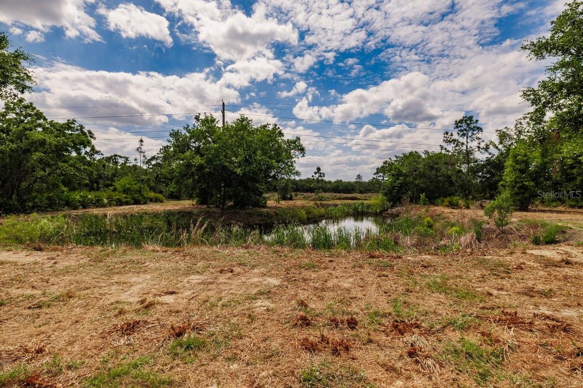 PUNTA GORDA RANCHES - Land