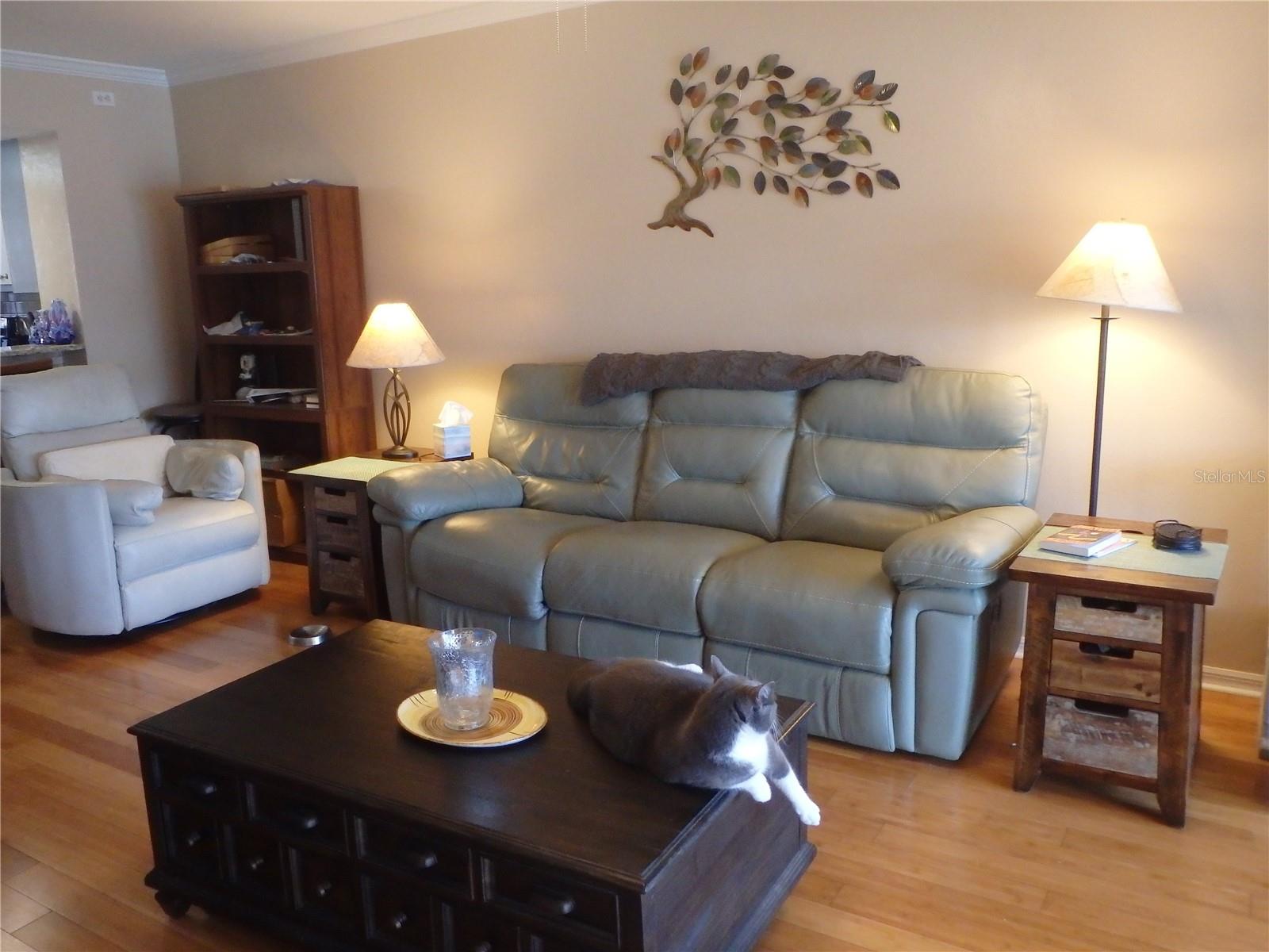 CRYSTAL BAY KINGSWAY - Residential